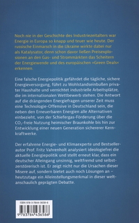 Die große Energiekrise: ... und wie wir sie bewältigen können